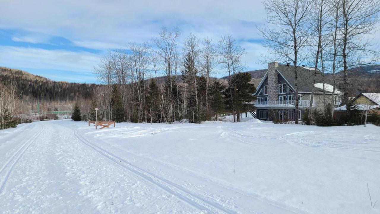 Condo-chalet de la Vallée d'Édouard LʼAnse-Saint-Jean Exterior foto
