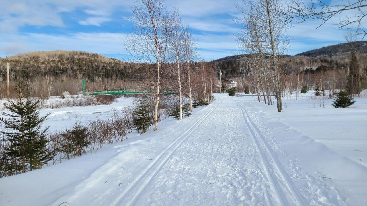 Condo-chalet de la Vallée d'Édouard LʼAnse-Saint-Jean Exterior foto