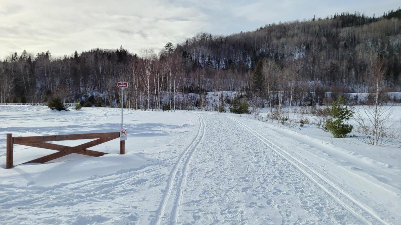 Condo-chalet de la Vallée d'Édouard LʼAnse-Saint-Jean Exterior foto