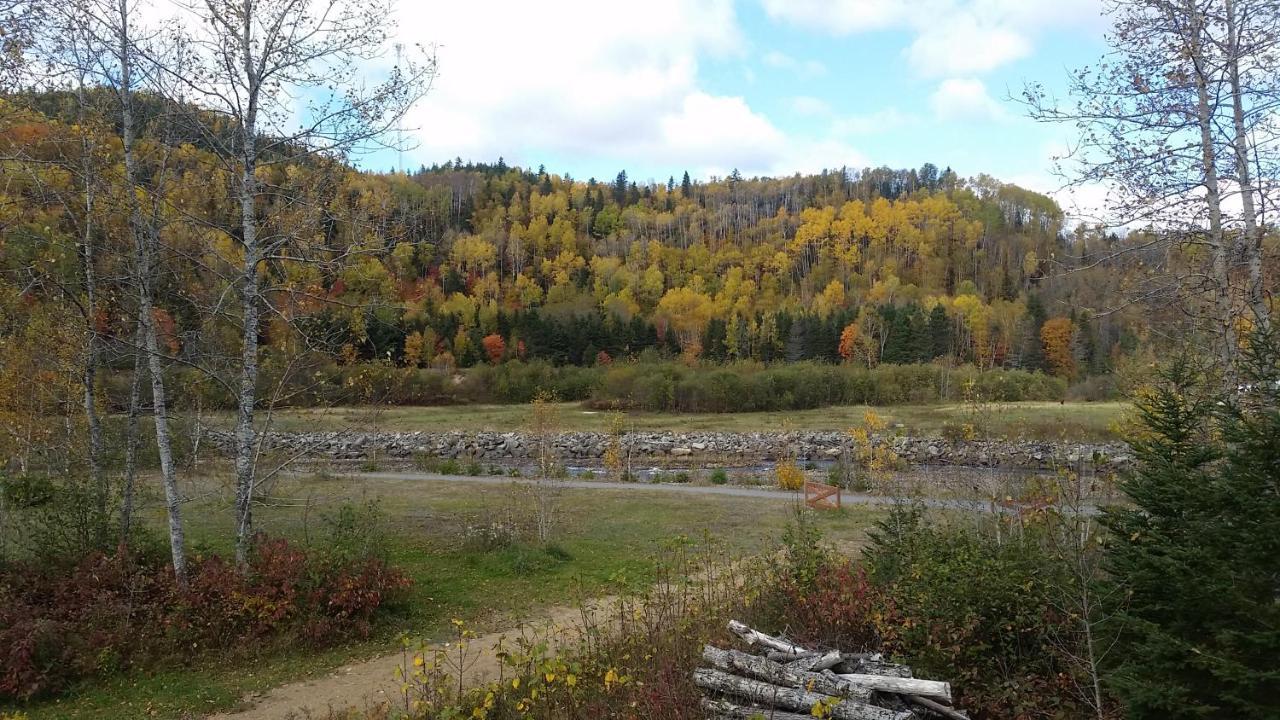 Condo-chalet de la Vallée d'Édouard LʼAnse-Saint-Jean Exterior foto