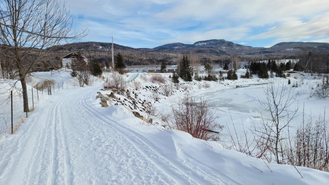 Condo-chalet de la Vallée d'Édouard LʼAnse-Saint-Jean Exterior foto